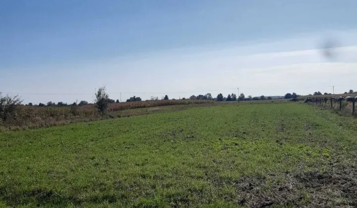 Działka budowlana Surochów