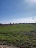 Działka budowlana Surochów