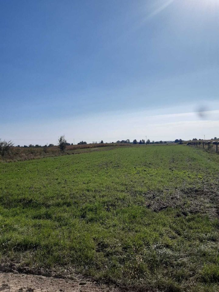 Działka budowlana Surochów