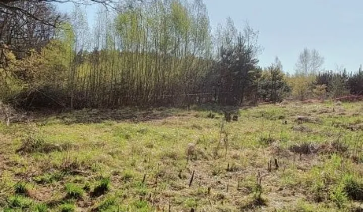 Działka budowlana Nowa Kopernia