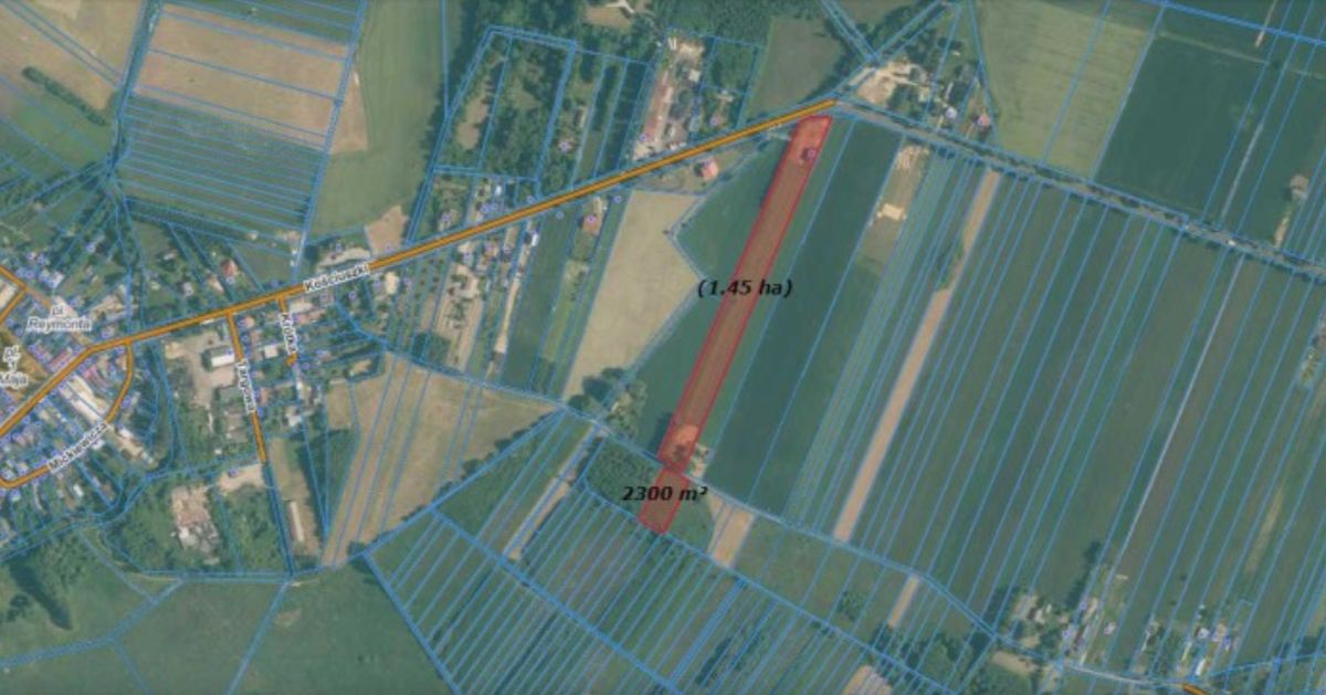 dom wolnostojący, 4 pokoje Nowa Brzeźnica, ul. Kościuszki. Zdjęcie 6