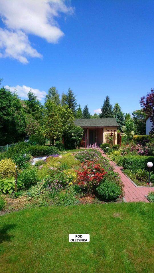 Działka rekreacyjna Jagodowo osada leśna