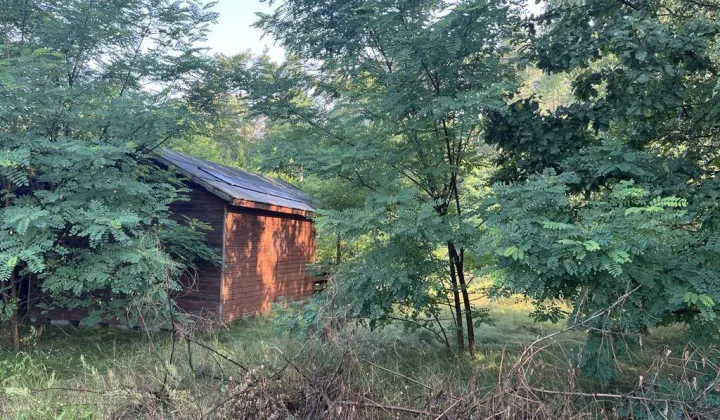 Działka budowlana Mrożewice