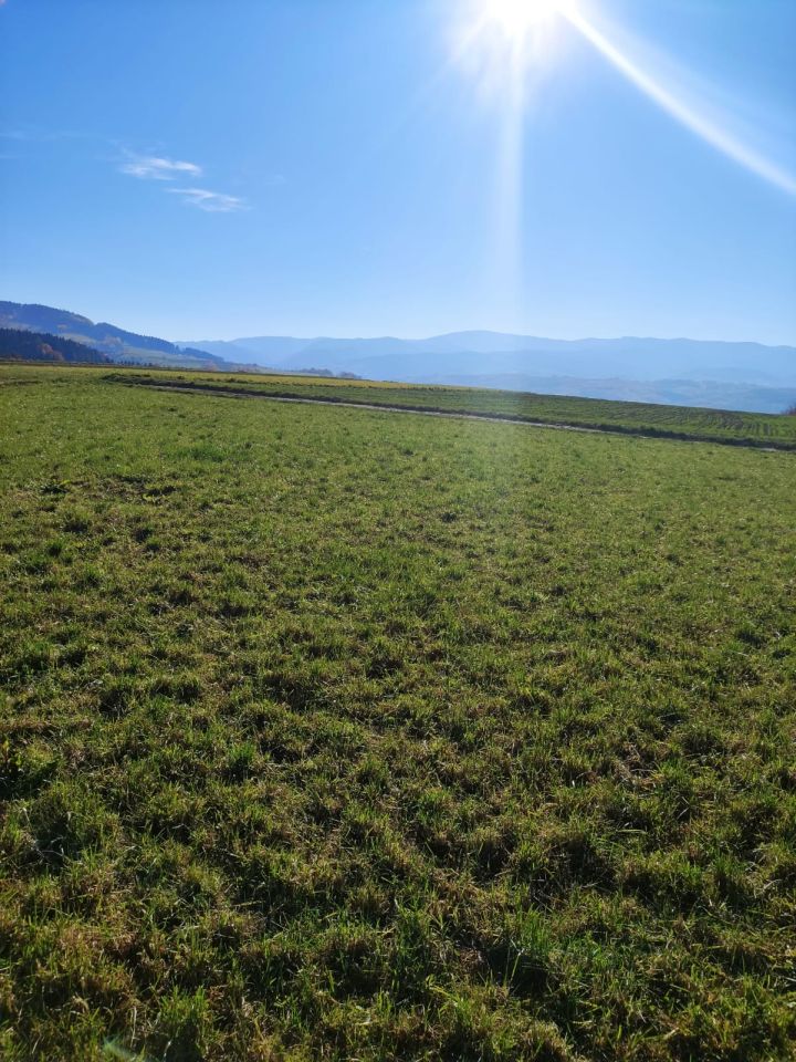 Działka rolno-budowlana Myślec. Zdjęcie 2