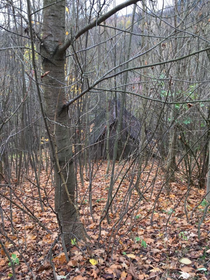 Działka rolno-budowlana Kamieńczyk. Zdjęcie 3