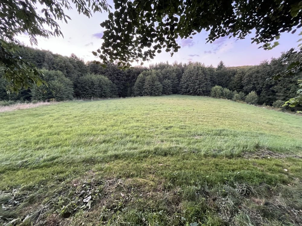 Działka budowlana Głobikowa. Zdjęcie 4