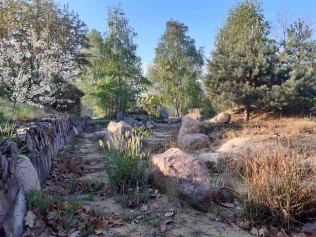 Działka budowlana Podbiel Krupińskie, Sosnowa. Zdjęcie 1