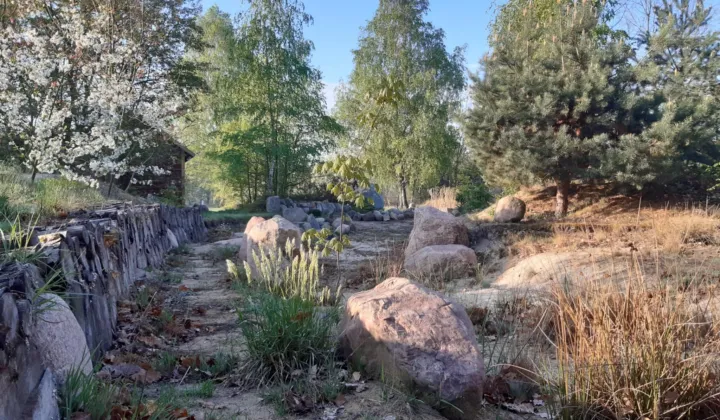 Działka budowlana Podbiel Krupińskie, Sosnowa