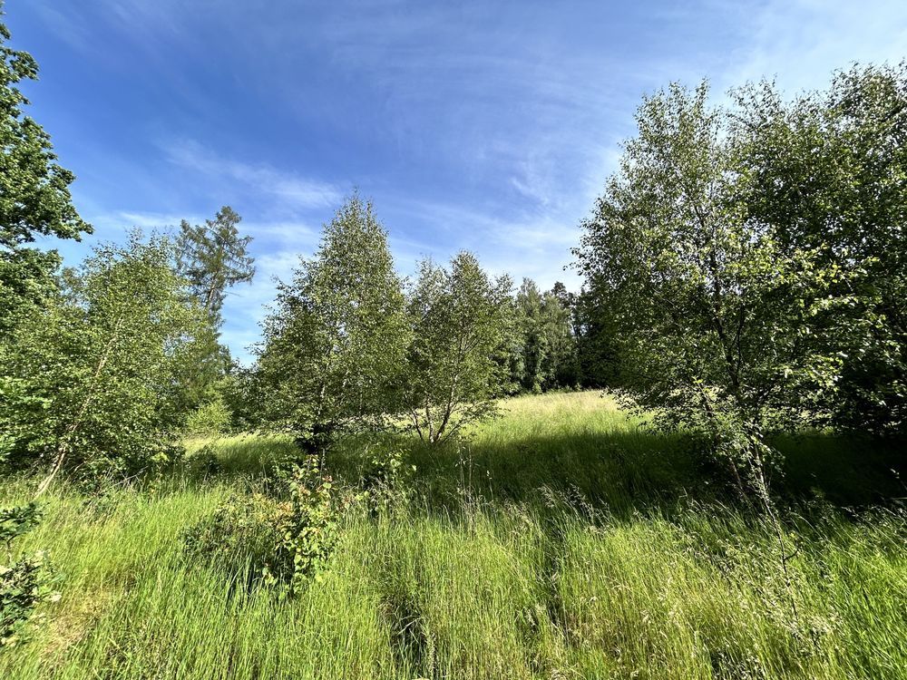 Działka budowlana Kudowa-Zdrój, ul. 1 Maja. Zdjęcie 8