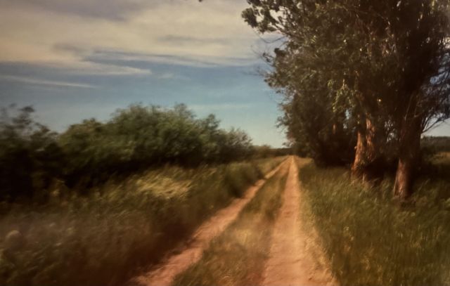 Działka budowlana Smołdziński Las. Zdjęcie 6