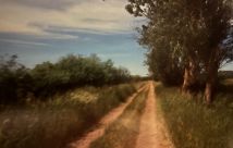 Działka budowlana Smołdziński Las. Zdjęcie 4