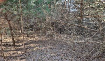 Działka budowlana Strzeniówka