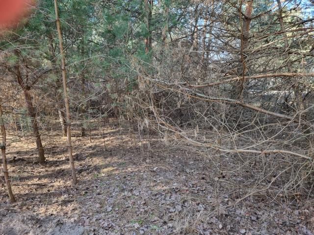 Działka budowlana Strzeniówka. Zdjęcie 2