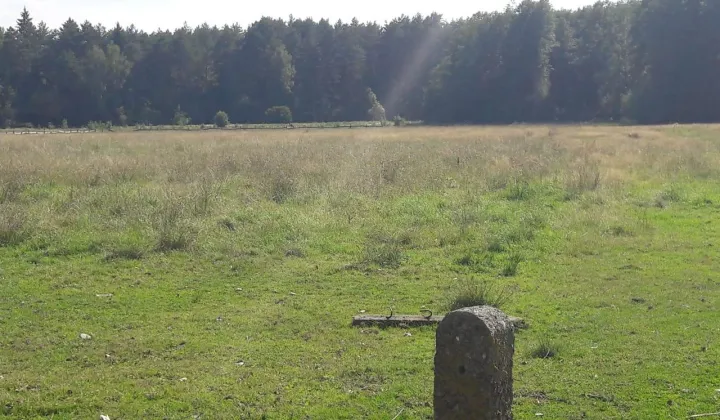 Działka rolno-budowlana Zabłudów