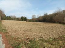 Działka inwestycyjna Strzelce. Zdjęcie 1