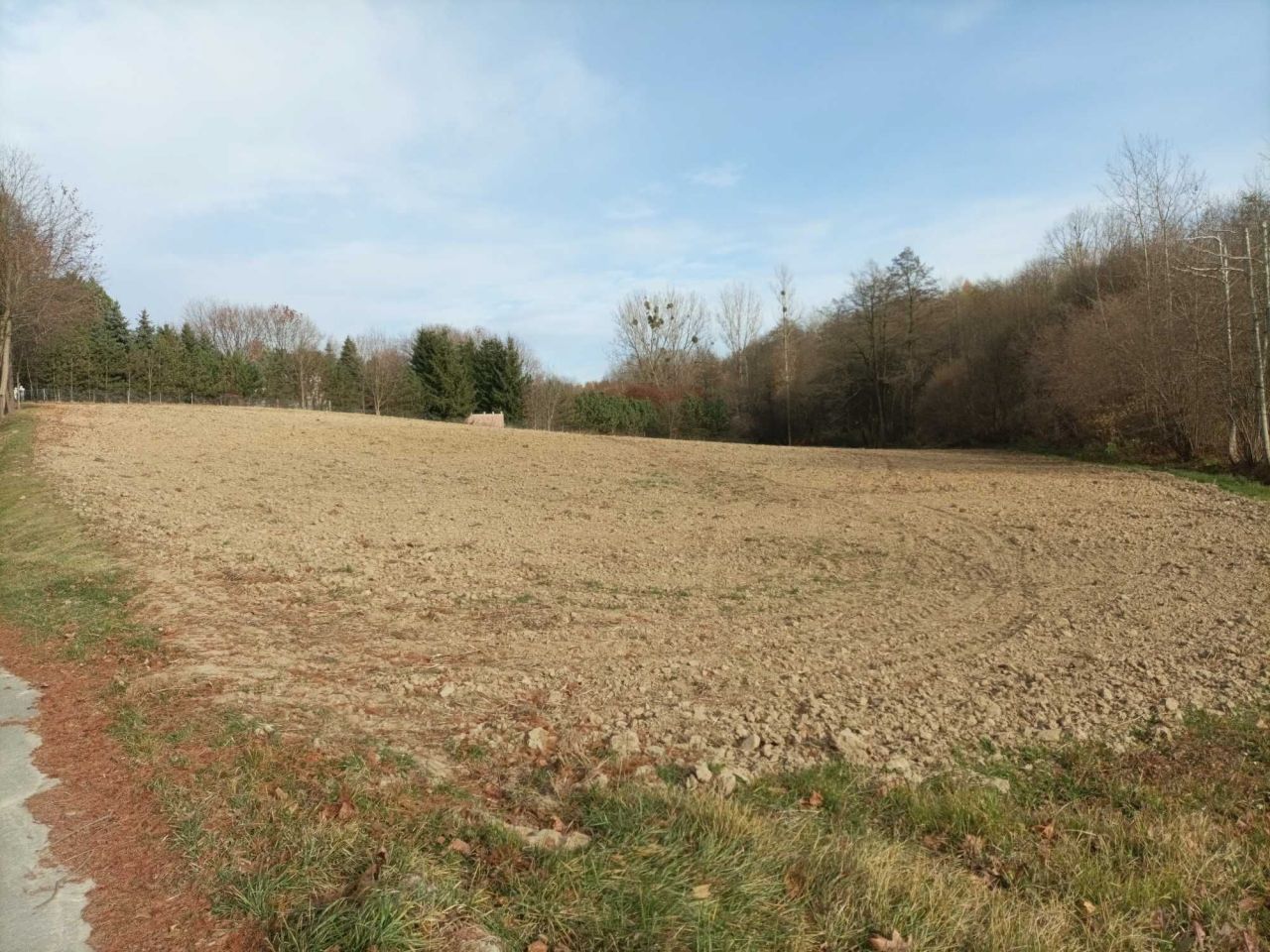 Działka inwestycyjna Strzelce. Zdjęcie 2