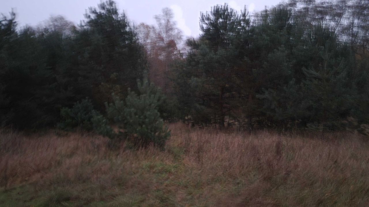 Działka budowlana Dobrojewo. Zdjęcie 4