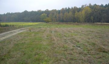 Działka budowlana Skierniewice, ul. Fabryczna