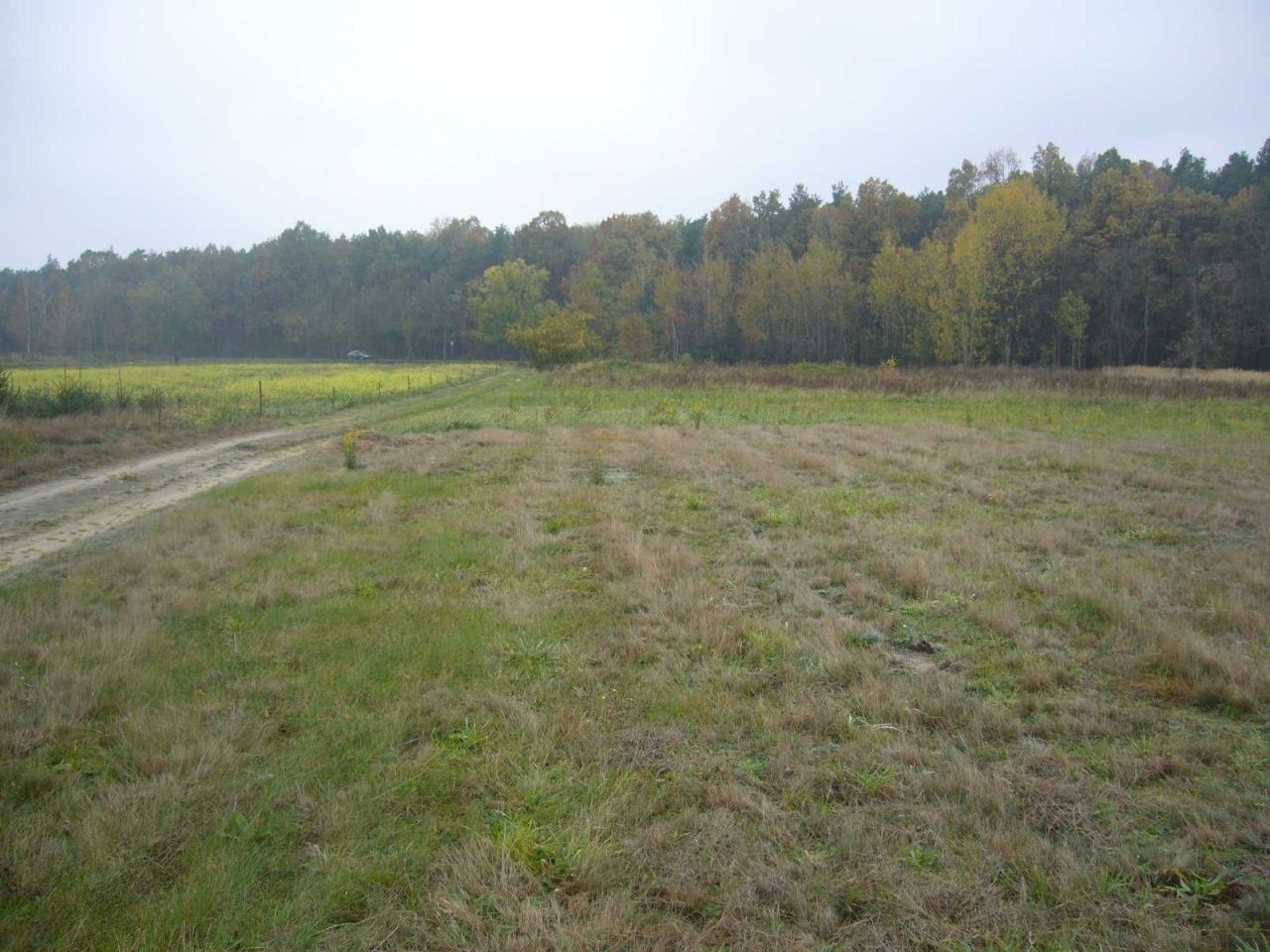 Działka budowlana Skierniewice, ul. Fabryczna