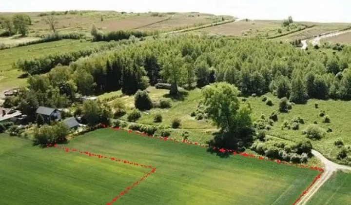 Działka rolno-budowlana Wierzbno, ul. Główna