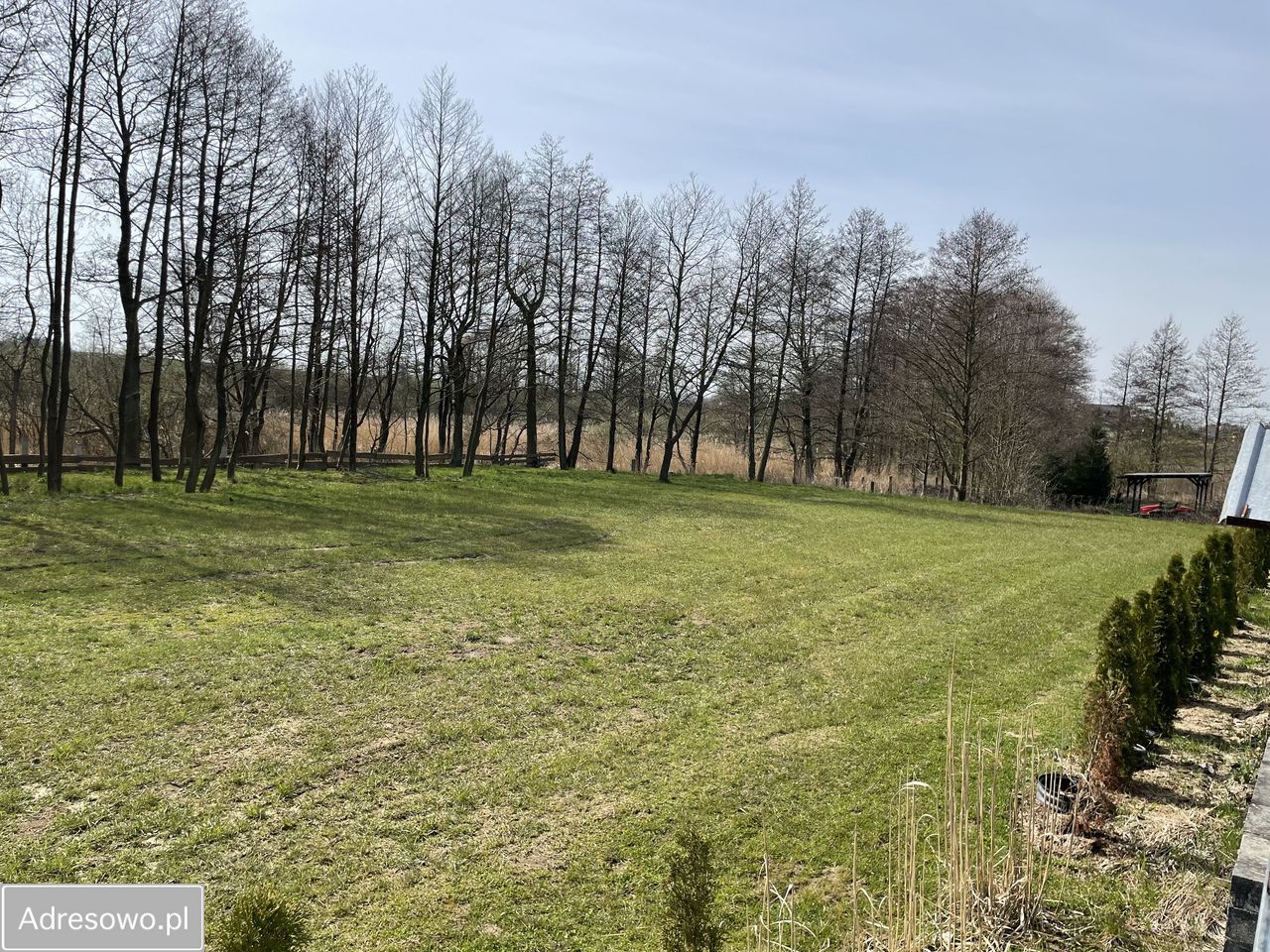 Hala/magazyn Barnisław. Zdjęcie 8