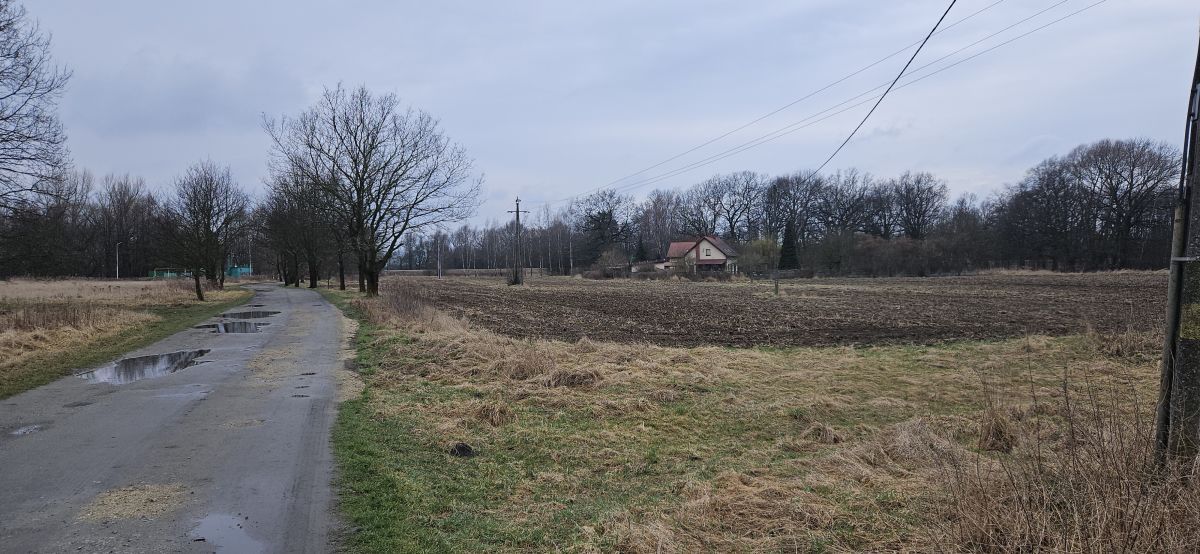Działka siedliskowa Wrocław Zgorzelisko. Zdjęcie 2