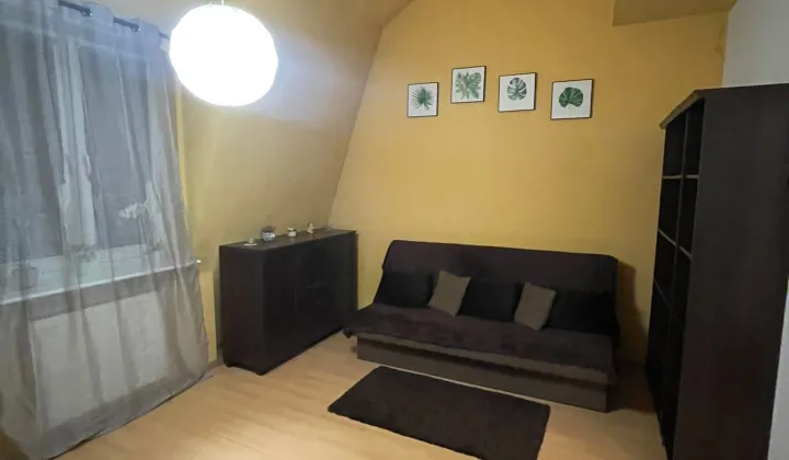 Mieszkanie 1-pokojowe Piaseczno, Łabędzia