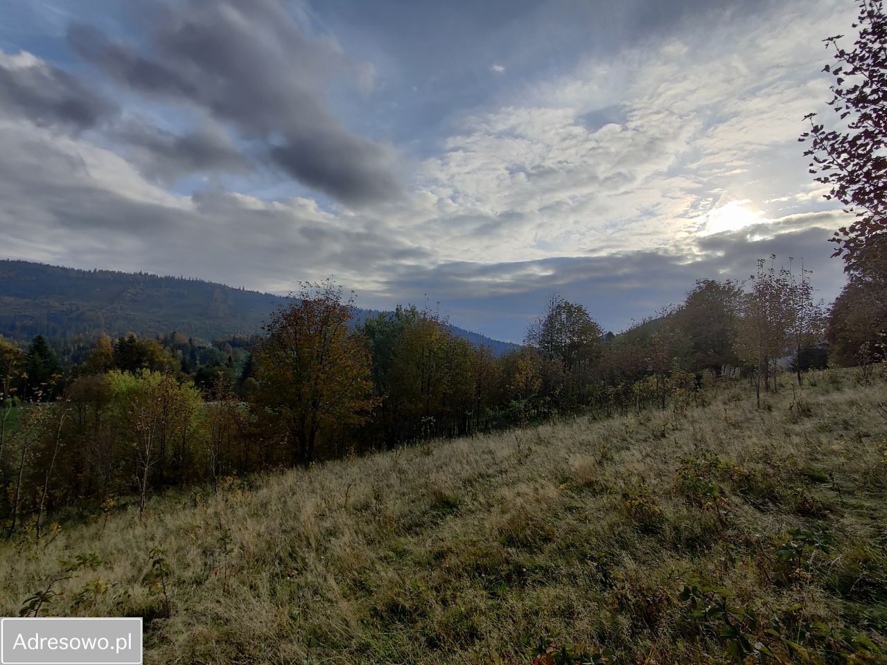 Działka rekreacyjna Zwardoń. Zdjęcie 2