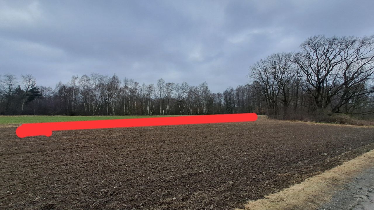 Działka leśna Babice, ul. Piaskowa. Zdjęcie 8