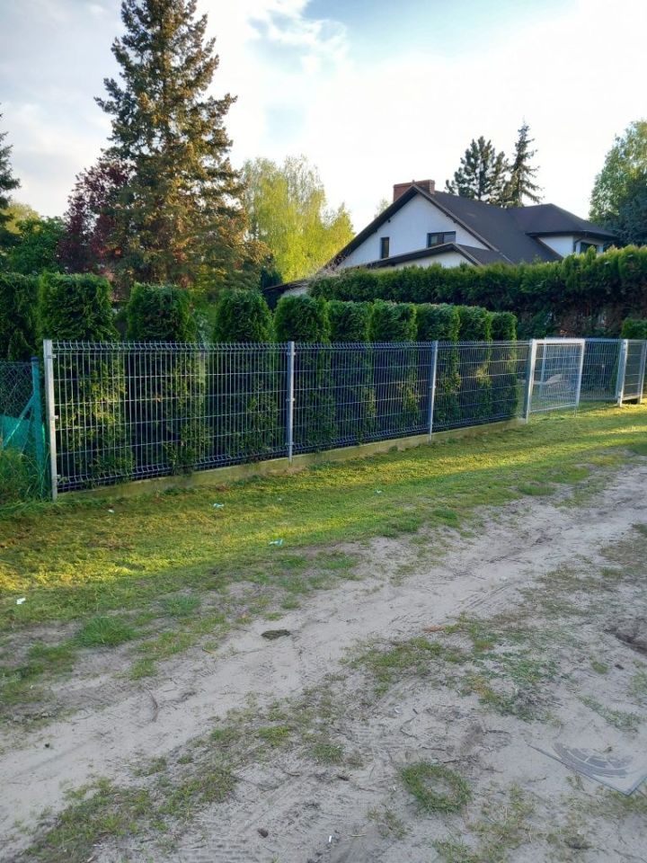 Działka Wieleń, ul. Dojazdowa. Zdjęcie 5