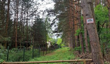 Działka leśna Dziektarzew