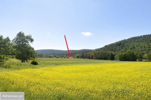 Działka budowlana Tyrawa Solna. Zdjęcie 1