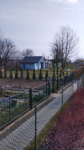 Działka rod Racibórz, ul. Polna. Zdjęcie 1