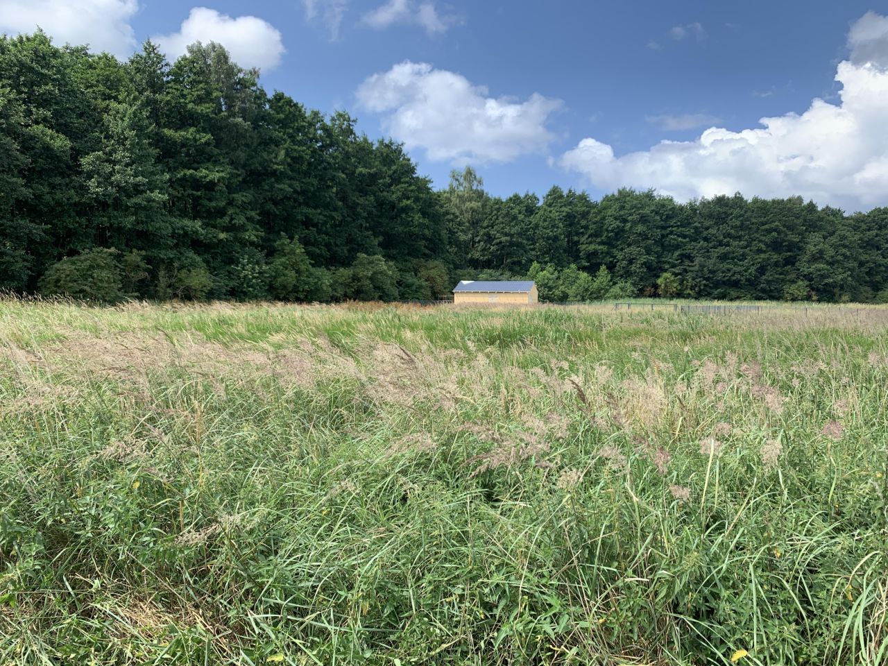 Działka rekreacyjna Bobolin, Lotników Morskich. Zdjęcie 3