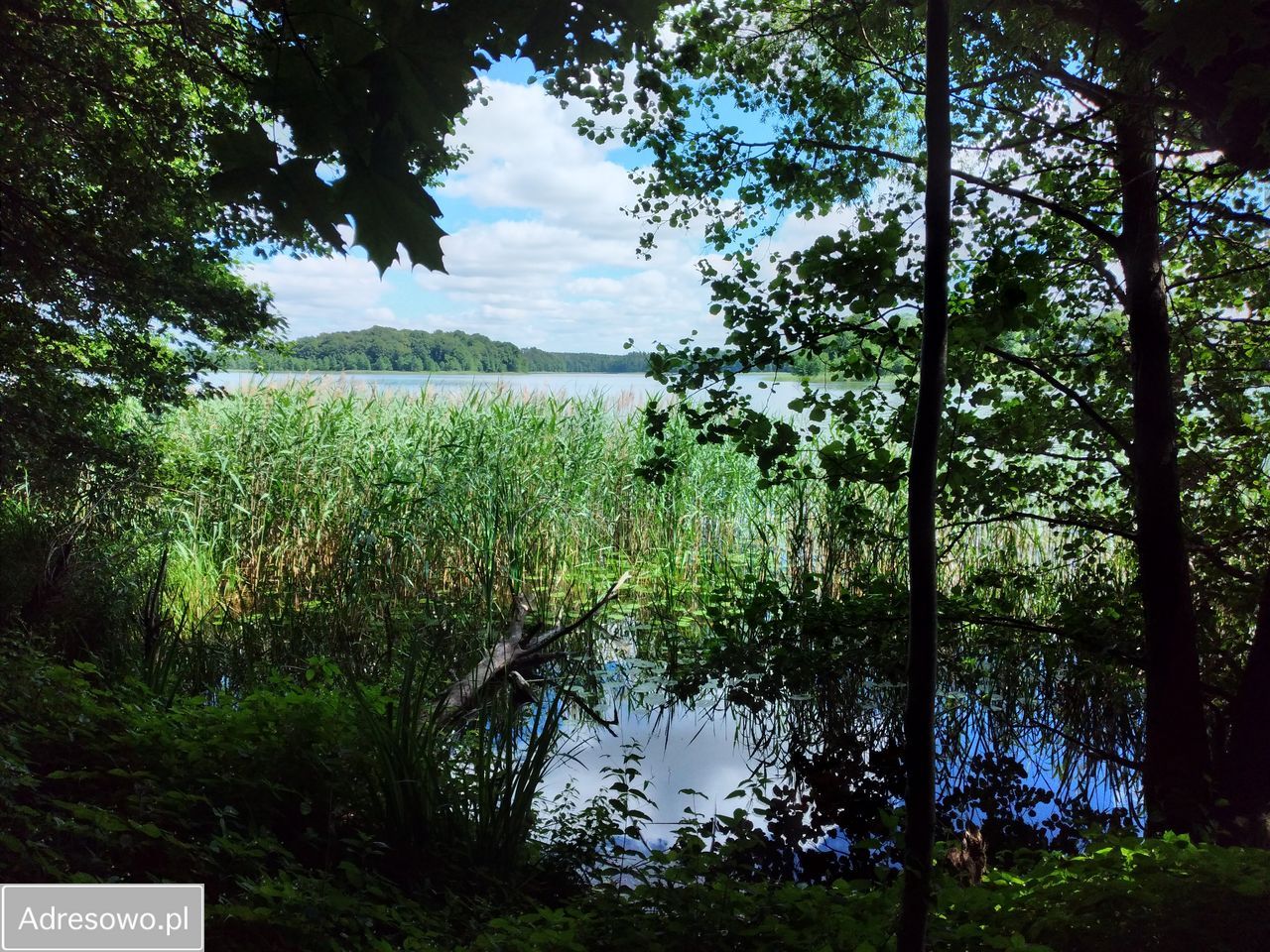 Działka inna Kukówko. Zdjęcie 6