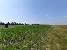 Działka budowlana Nowostawy Górne. Zdjęcie 4