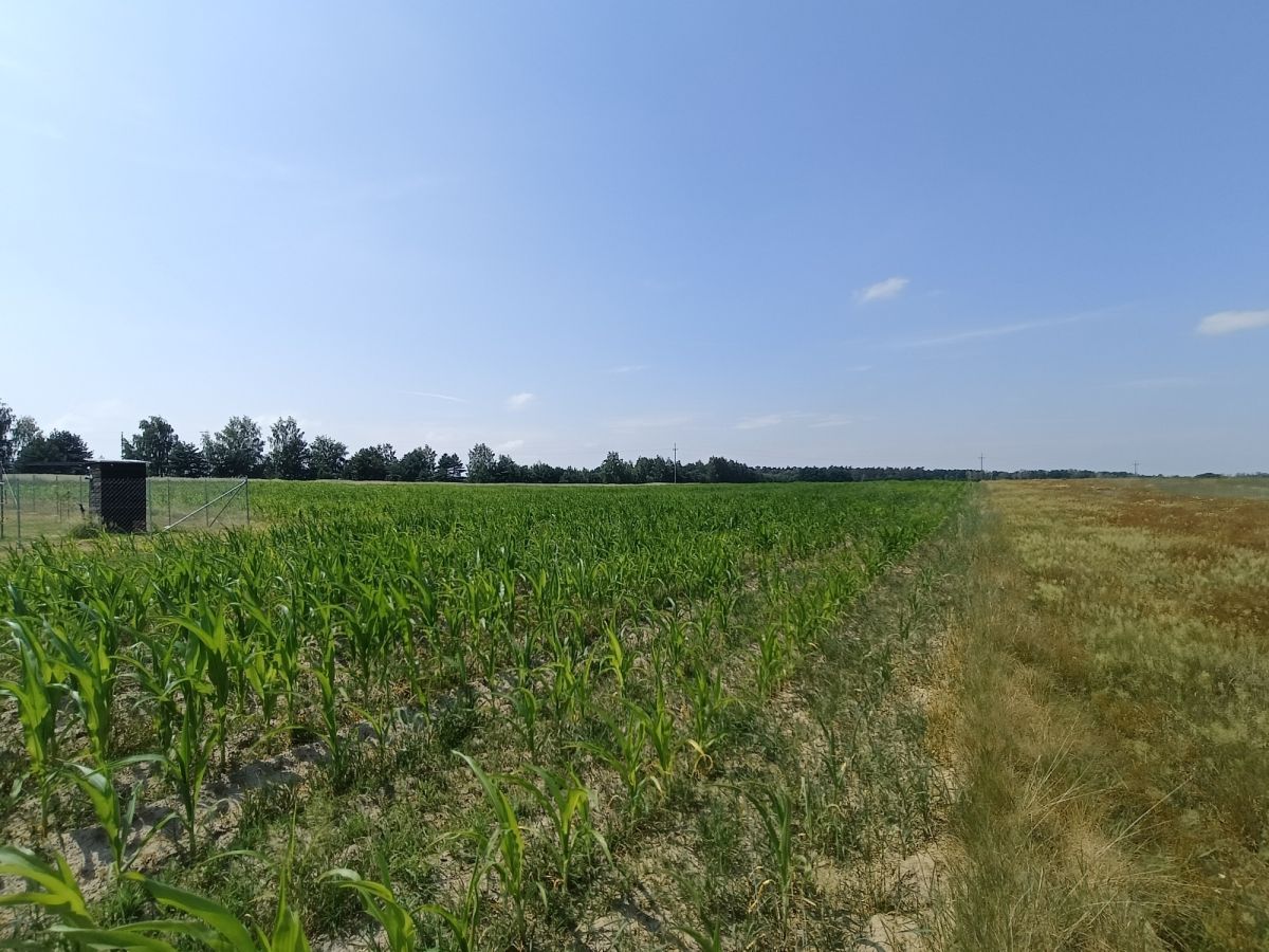 Działka budowlana Nowostawy Górne. Zdjęcie 4