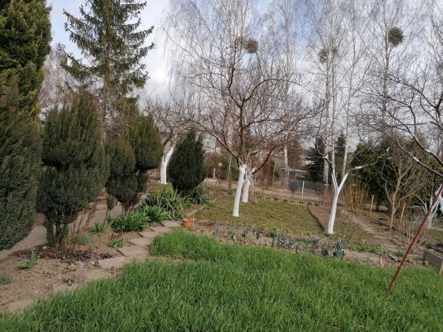 Działka rekreacyjna Płock Parowa, ul. Kobiałka. Zdjęcie 1