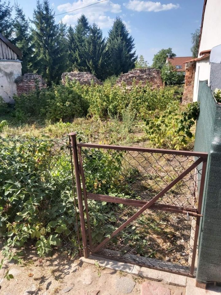 Działka budowlana Pasym. Zdjęcie 2