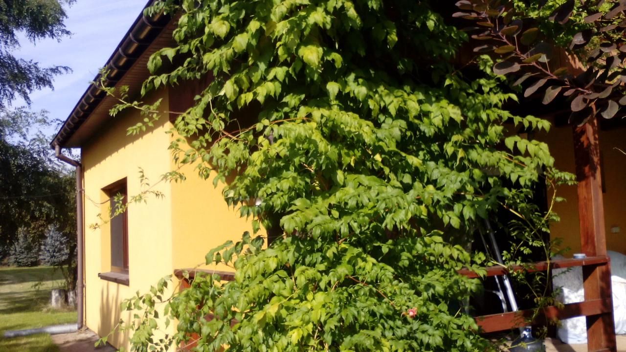 dom letniskowy, 2 pokoje Kolemczyce. Zdjęcie 9