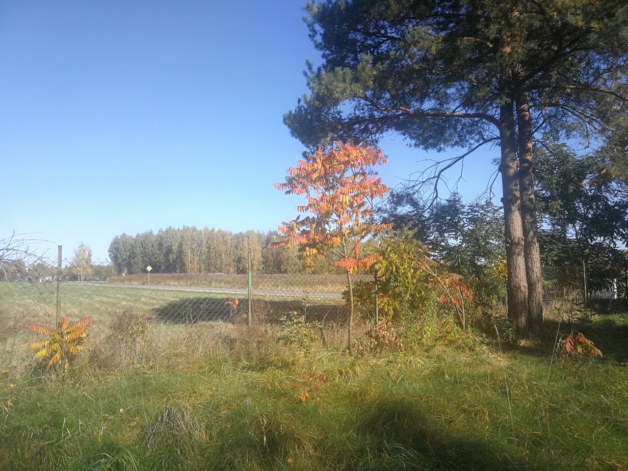 Działka rolno-budowlana Dzierżązna, ul. Brzozowa. Zdjęcie 9