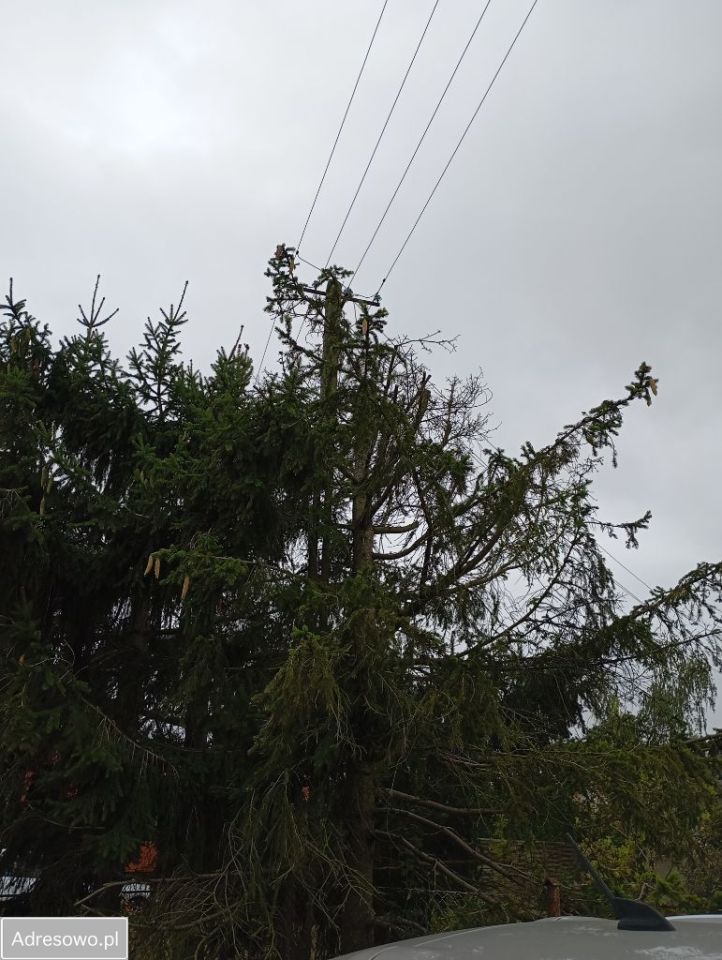 Działka budowlana Grudziądz Owczarki, ul. Jesionowa. Zdjęcie 3
