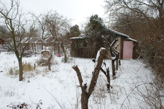 Działka rod Opole. Zdjęcie 1