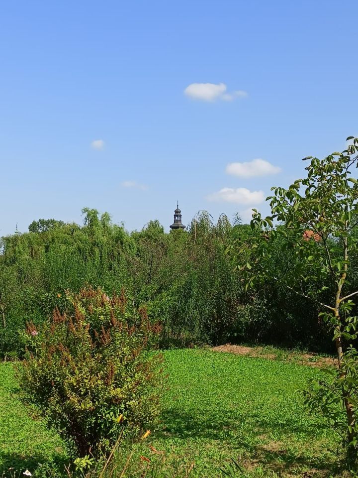 Działka rod Zamość, ul. Altanowa. Zdjęcie 8