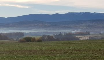 Działka rolna Pasiecznik
