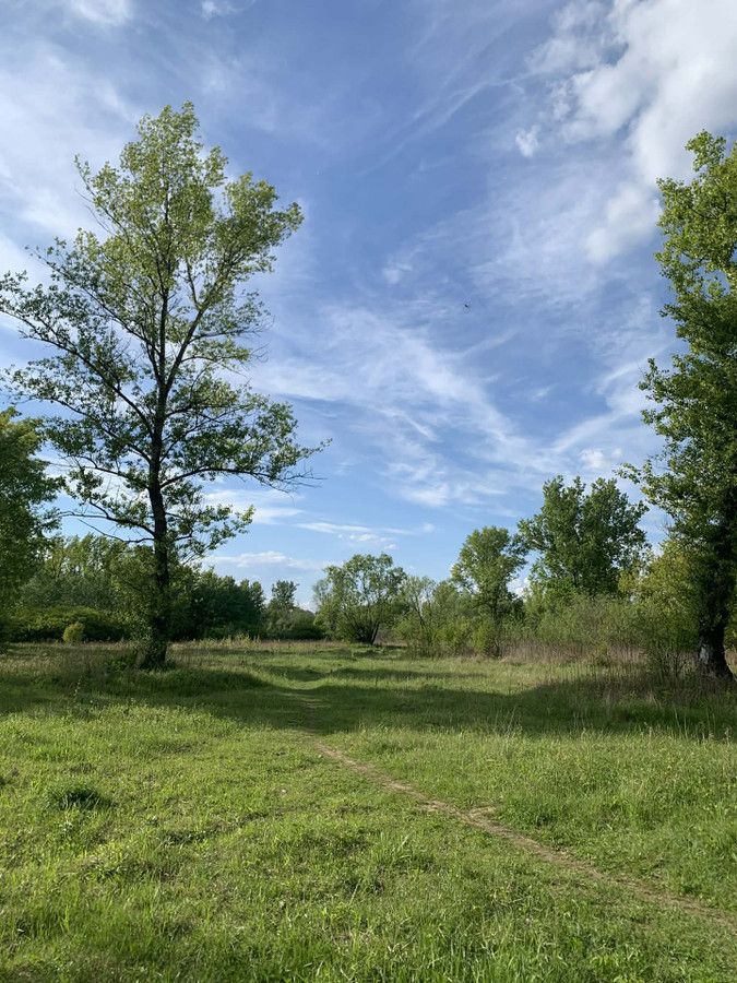 Mieszkanie 2-pokojowe Warszawa Wilanów, ul. Bruzdowa. Zdjęcie 19