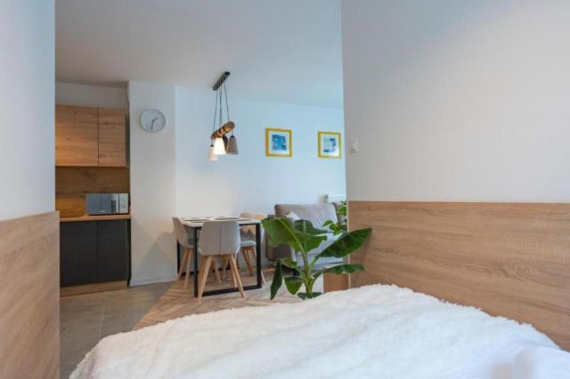 Mieszkanie 1-pokojowe Szklarska Poręba Szklarska Poręba Górna, ul. Jana Kilińskiego. Zdjęcie 9