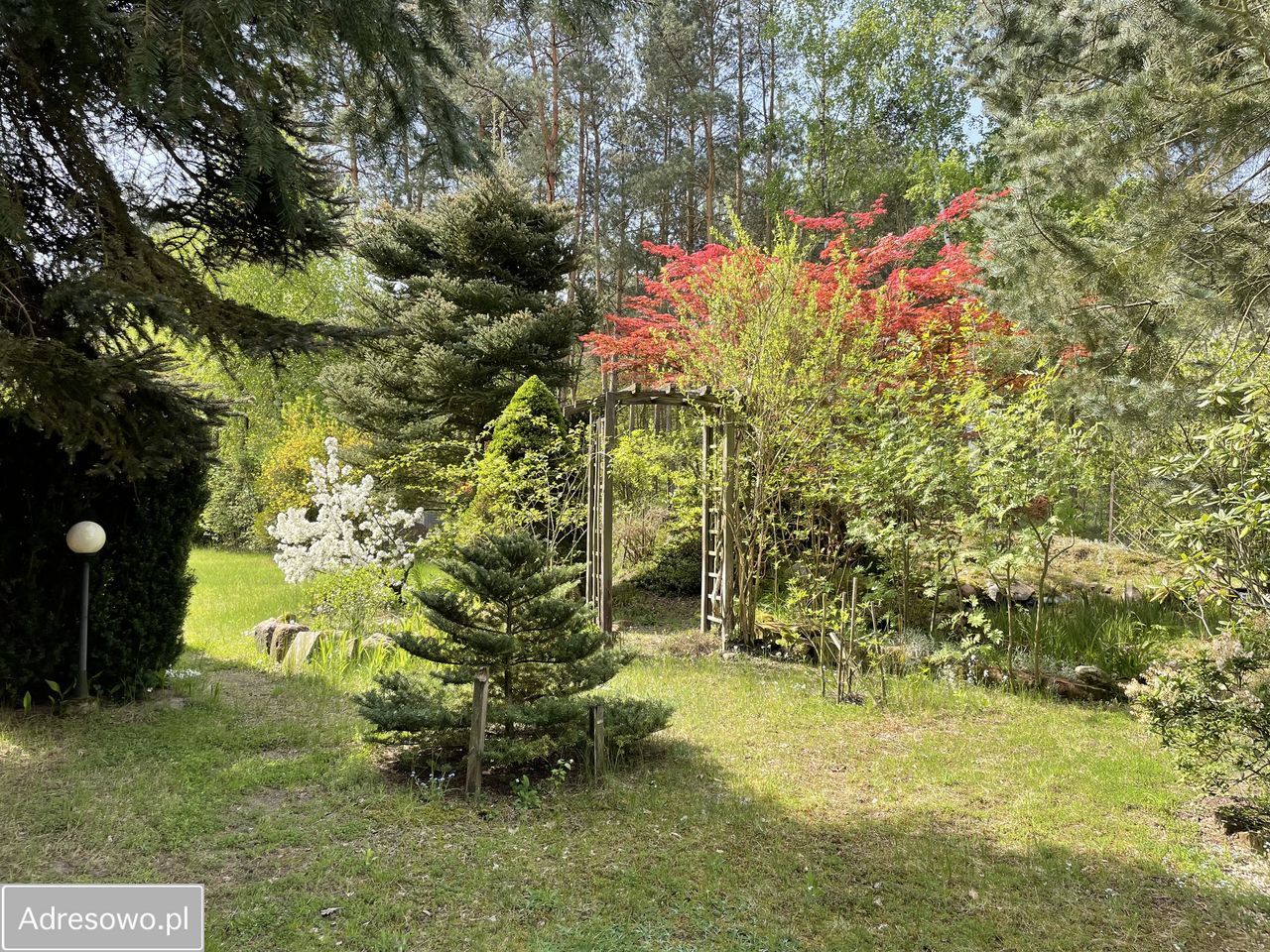 dom wolnostojący, 3 pokoje Zborów. Zdjęcie 19