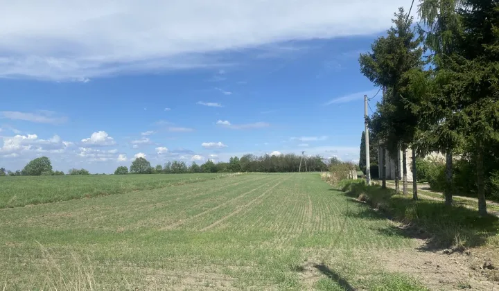 Działka budowlana Ornontowice, ul. Kolejowa