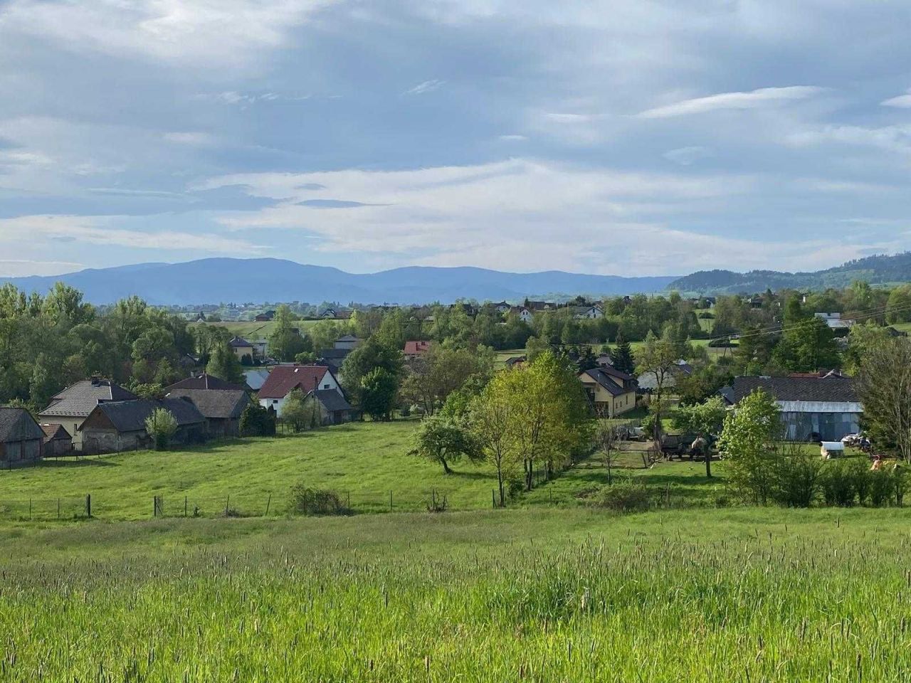 Działka rolno-budowlana Lipowa, ul. Polarna. Zdjęcie 4